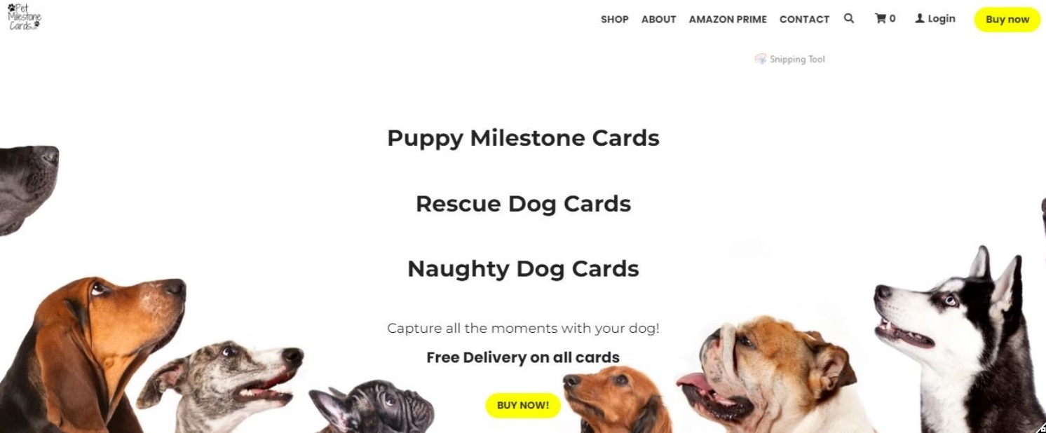 寵物商業網站 寵物商業網站